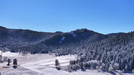 Frío-Helado-Derritiendo-Campo-Espacio-Abierto-Blanco-Soleado-Diciembre-Invierno-Navidad-Escarchado-álamo-Temblón-Bosque-Primera-Nieve-Aéreo-Cinematográfico-Zumbido-Azulejo-Hoja-Perenne-Colorado-Montaña-Rocosa-Escena-Lento-Hacia-Arriba