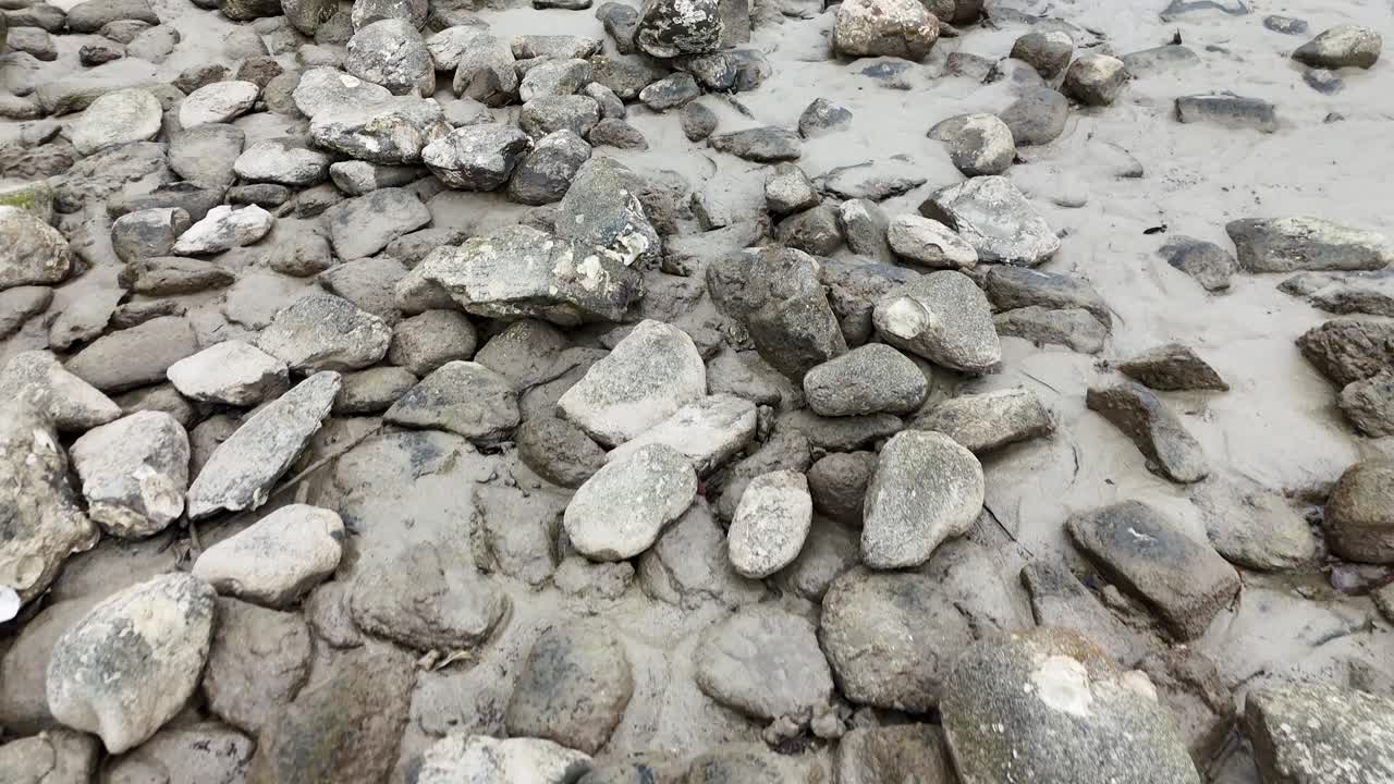 Wet rocks and mud exposed at low tide, overcast daylight, slow camera pan, natural environment