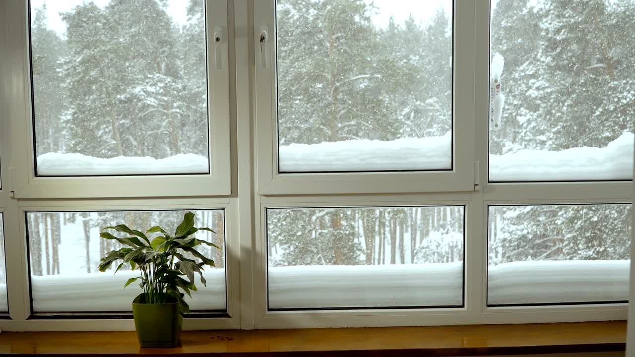 ventana. ventana con vistas al bosque cubierto de nieve