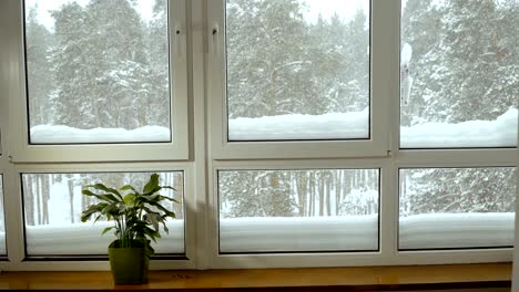 window. window overlooking the snow-covered forest