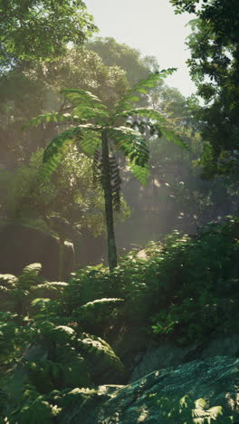 sunlight filtering through a lush tropical rainforest