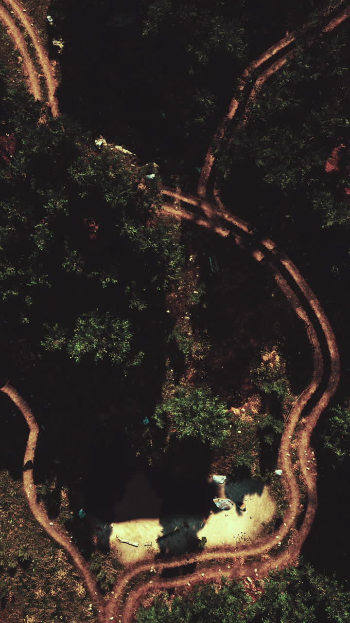 vista aérea de un sendero sinuoso a través de un bosque