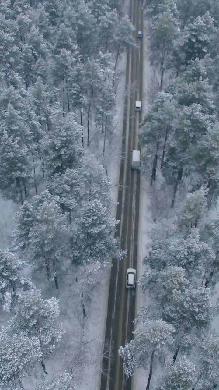Snowy Forest Road with Cars