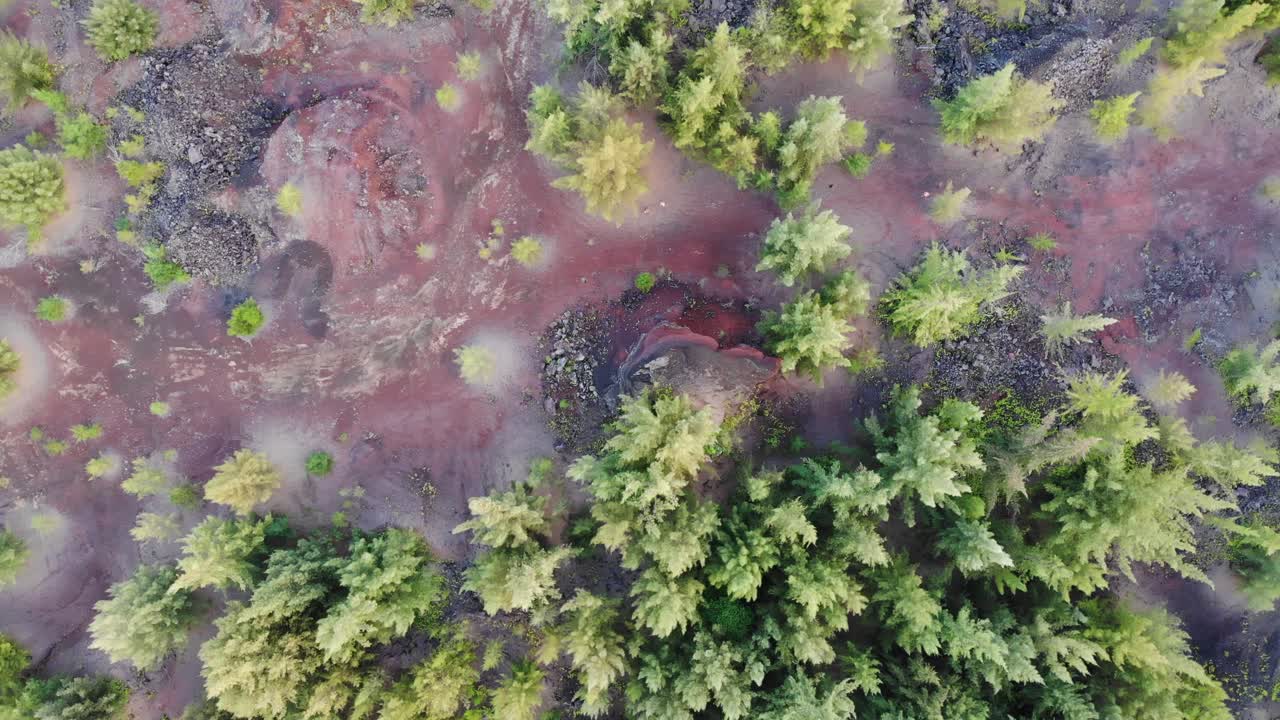 toma aérea de drones 4k - área de recuperación de erupción volcánica con vegetación y flujos de lava visibles
