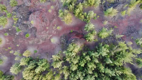 aerial drone shot 4k - volcanic eruption recovery area with vegetation and visible lava flows