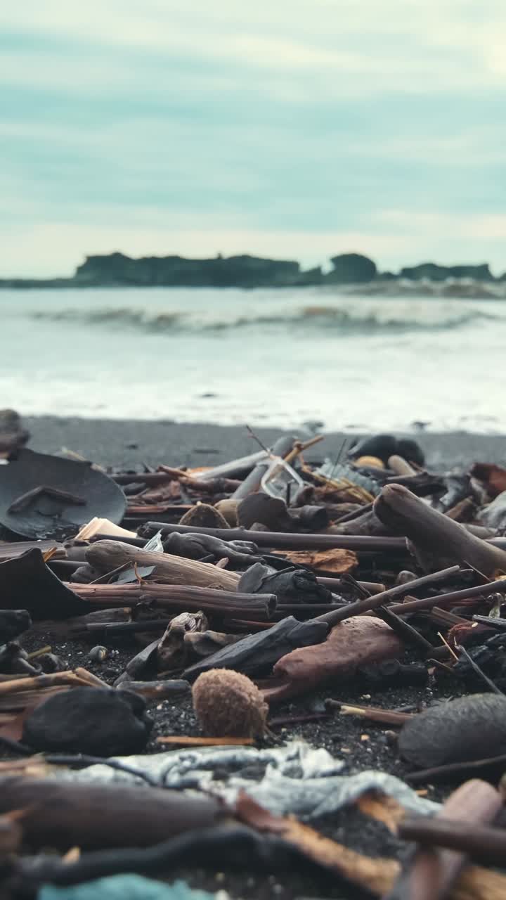 I volontari ripuliscono l'inquinamento lungo la splendida costa dei nostri oceani.