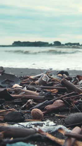 volunteers clean up pollution along the stunning shoreline of our oceans