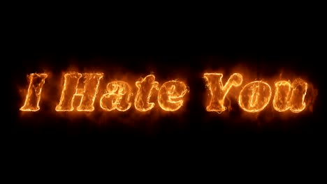 i hate you word hot animated burning realistic fire flame loop.
