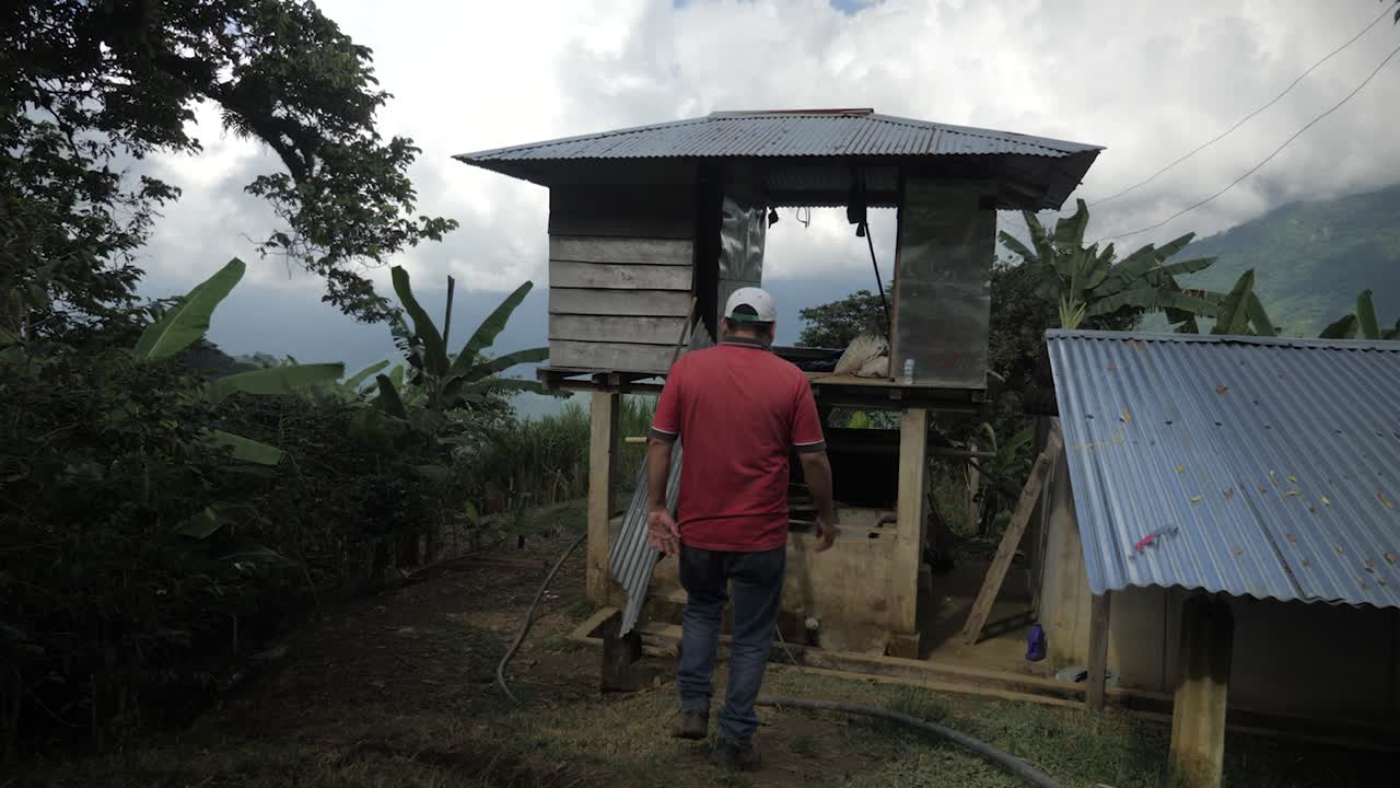 Man with hat and red shirt is walking towards old wooden slum hut with tin roof in coffee plantation farm Sierra Nevada Colombia slowmotion