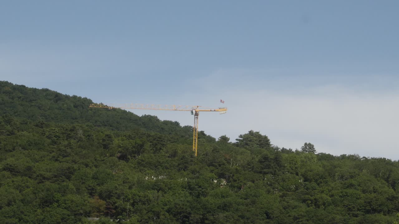 타임 스  포레스트 힐