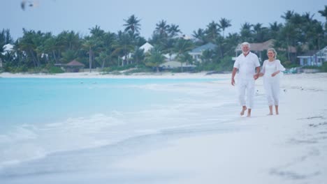 retired caucasian couple on a caribbean vacation beach