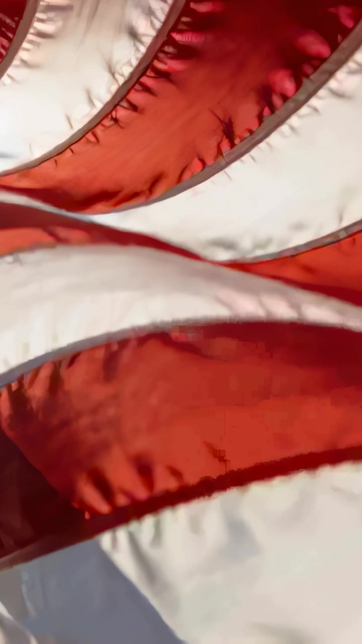 Vídeo vertical: Bandeira listrada de vermelho e branco tremulando na brisa, câmera inclinando ao ar livre, costuras.