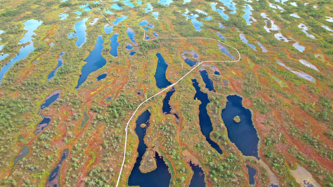 Exploring the serene beauty of Kemeri swamp in Latvia from above