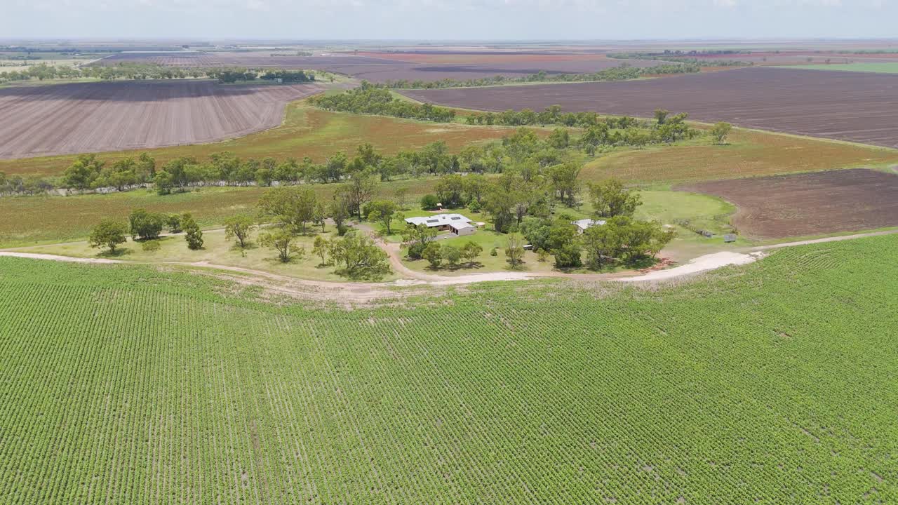 extensos campos de maíz con el paisaje circundante