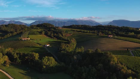 Luftpanoramablick-über-Prosecco-Weinbergreihen,-Mit-Bergen-Im-Hintergrund,-In-Italien,-An-Einem-Sonnigen-Tag