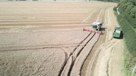 aerial footage of a combine harvester and tractor harvesting a wheat crop