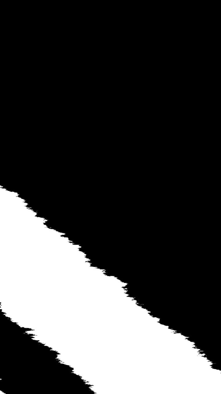 Transizione dinamica con effetto pennellata in bianco e nero