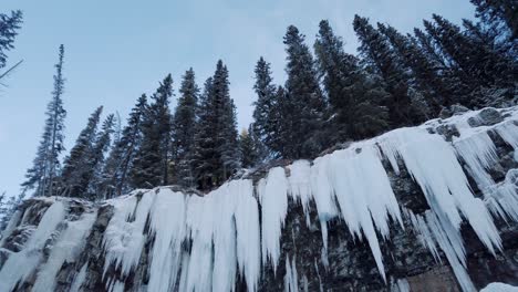 Gefrorene-Eiszapfen-Im-Winterwald