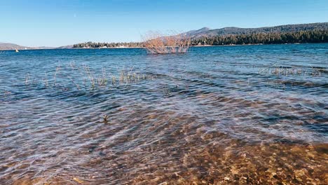 serene lakeside scenery