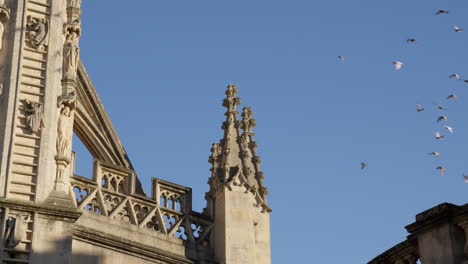 Flock-Of-Birds-Flying-Near-The-Bath-Abbey-In-Somerset,-England