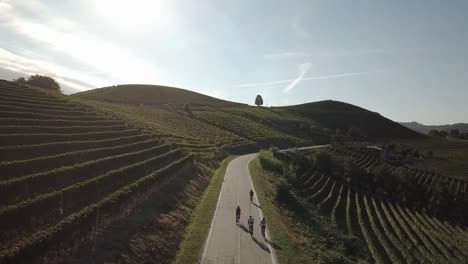 drone view of cycling through the vineyards of piedmont