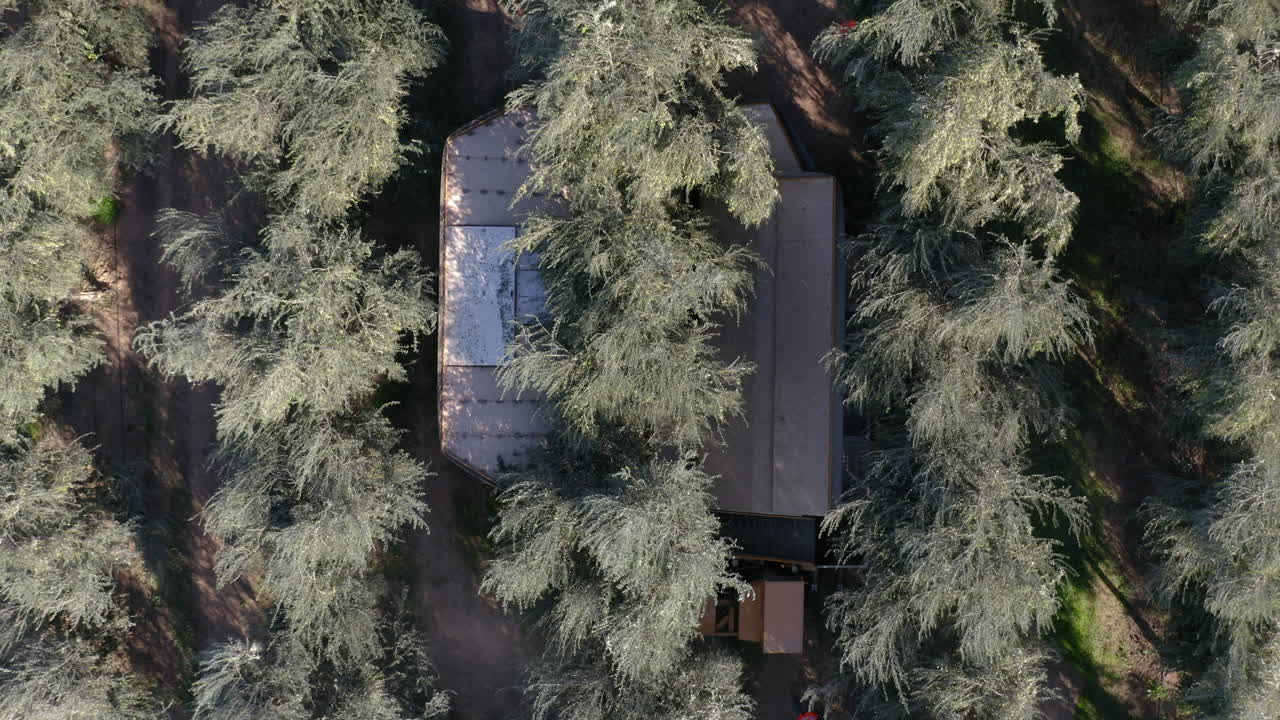 Aerial View of a Building Nestled in an Olive Grove