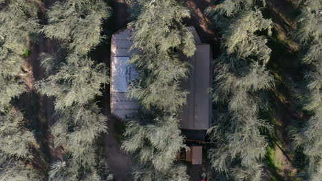 aerial view of a building nestled in an olive grove