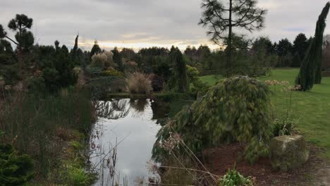 outdoors in nature with a small lake