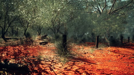 Orangefarbener,-Struppiger-Sand,-Drahtzaun-Und-Kleine-Bäume