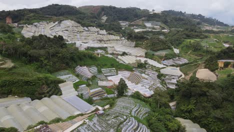 general landscape view of the brinchang district within the cameron highlands area of malaysia