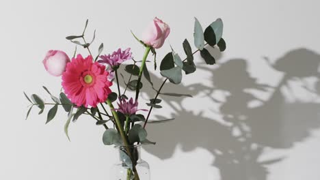 video de flores rosadas en un jarrón de vidrio con espacio de copia sobre un fondo blanco