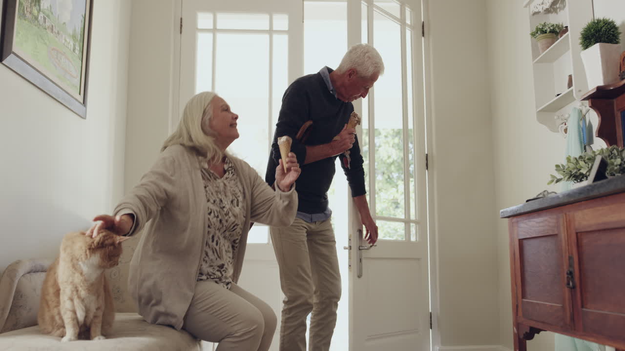 집 에서 고양이 와 함께 아이스크림 을 즐기는 노인 부부