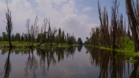 landscape of the xochimilco water canals