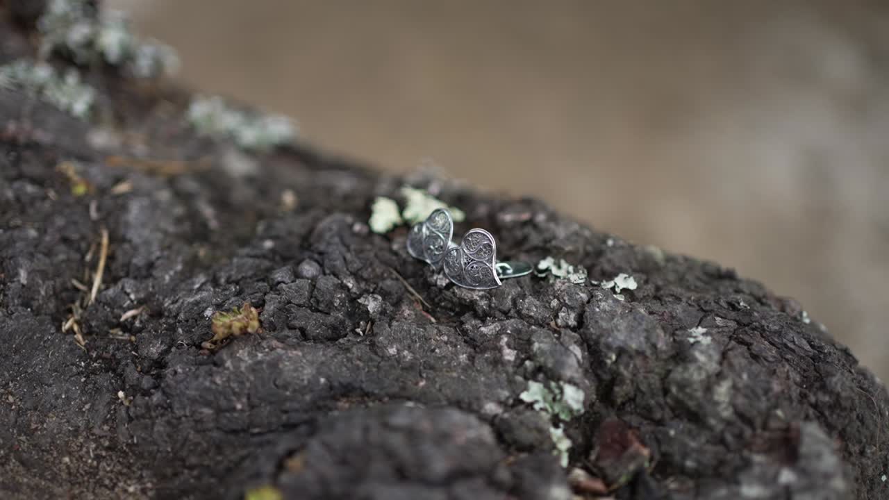Primo piano di fedi nuziali d'argento posizionate su corteccia d'albero ruvida.