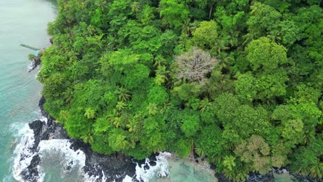 Von-Oben-Den-Dichten-Wald-An-Der-Küste-Von-Prince-Island,-Sao-Tome,-Afrika