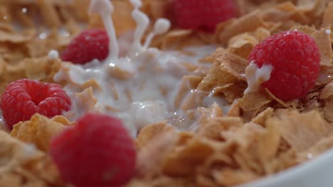 frambuesas salpicando en un cuenco de cereales en cámara lenta