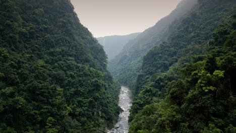 Wilderness-Remote-River-Gorge-Mountain-Valley-with-Lush-Green-Dense-Deep-Forest-Jungle,-Taiwan-Taroko-Nature