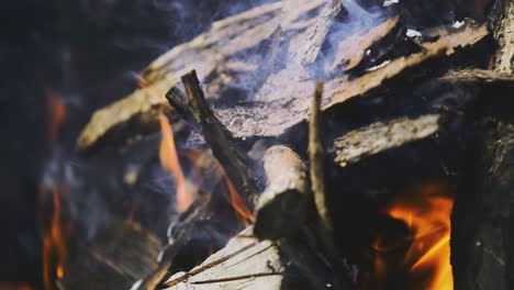 afternoon standing and closer footage from a wood pile which smokes