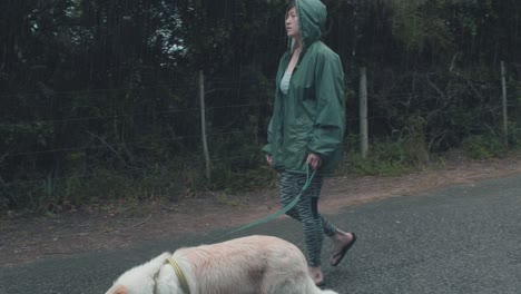 woman walking border collie out in the rain for his daily exercise