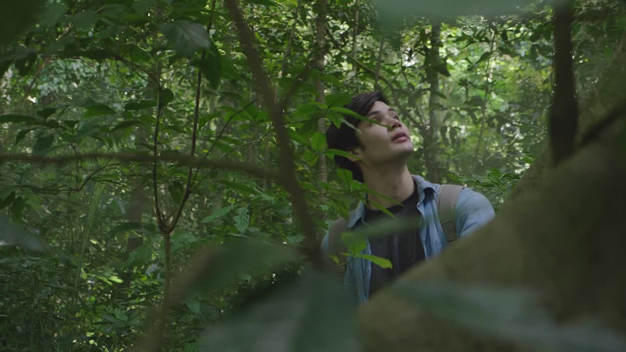 Asian Man In Deep Forest, Slow Motion
