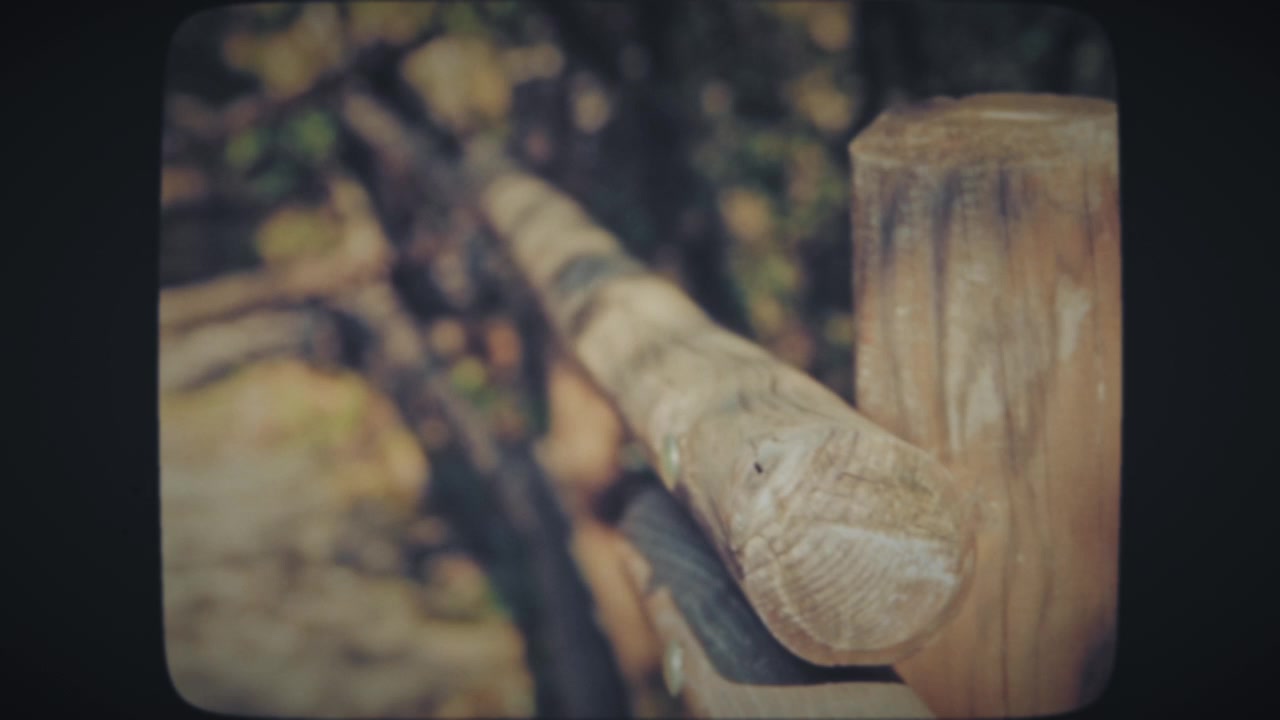 Wooden fence in the middle of the forest