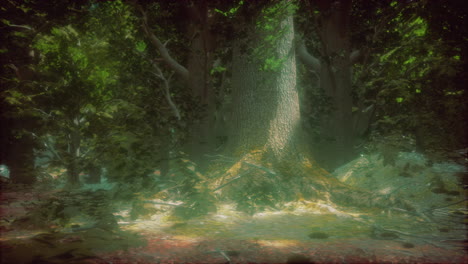 bosque encantado: un viaje a los bosques profundos