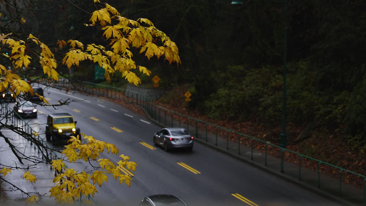 lions gate bridge road with traffic during autumn in a rainy day