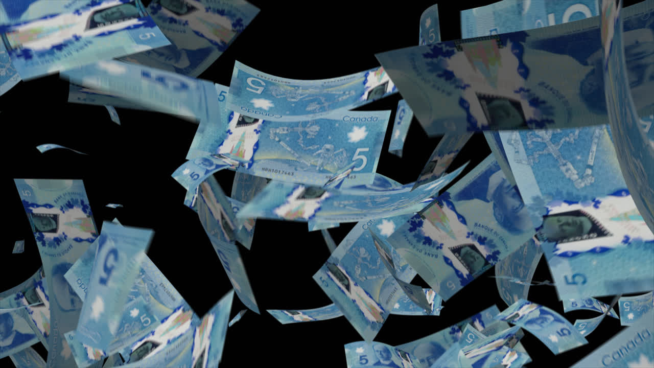 캐나다 돈 떨어지는 애니메이션