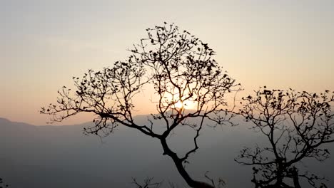 beautiful sunrise at bisle ghat ka india
