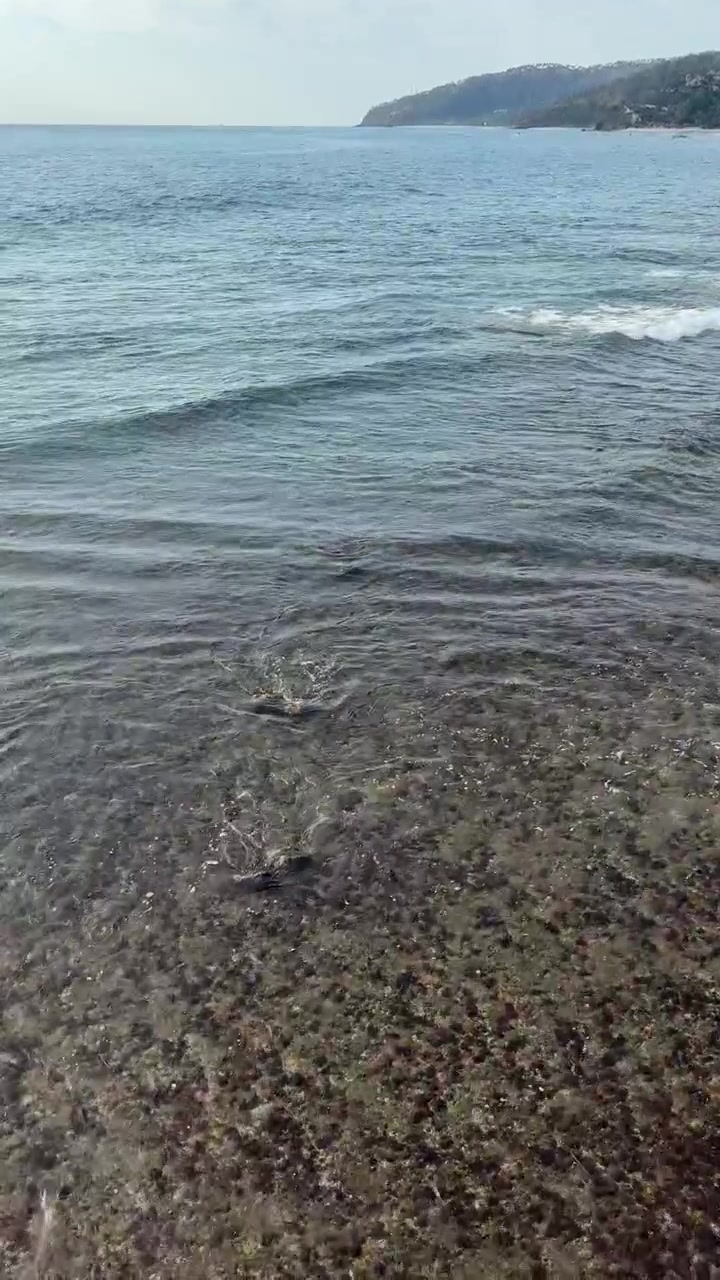 Piccole onde che lambiscono dolcemente la costa rocciosa