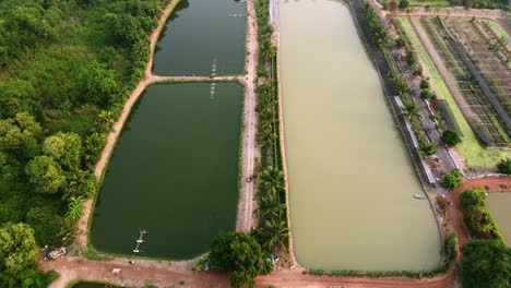 Kraftwindmühlen-Leiten-Sauerstoff-In-Den-Teich