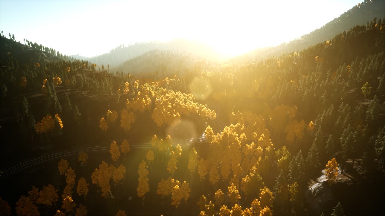 해질녘 산에 있는 소나무 숲 위로 공중 드론 보기 비행