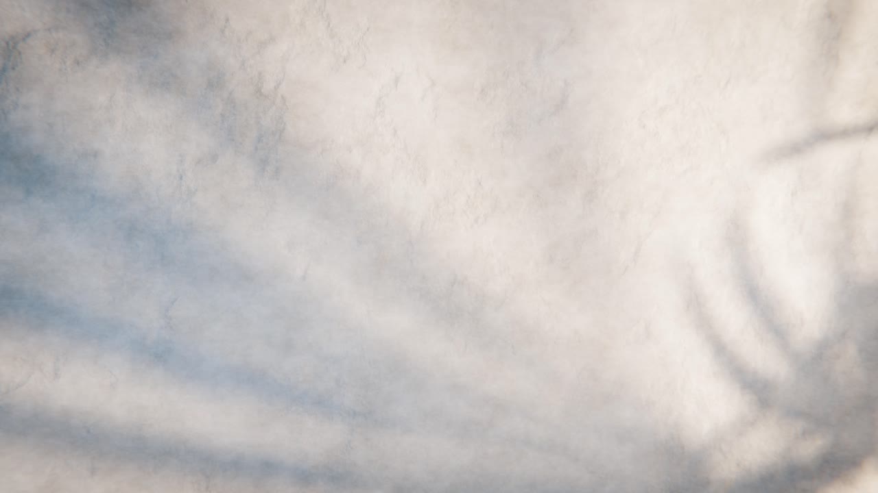 Ombre in movimento di foglie di palma su una parete strutturata