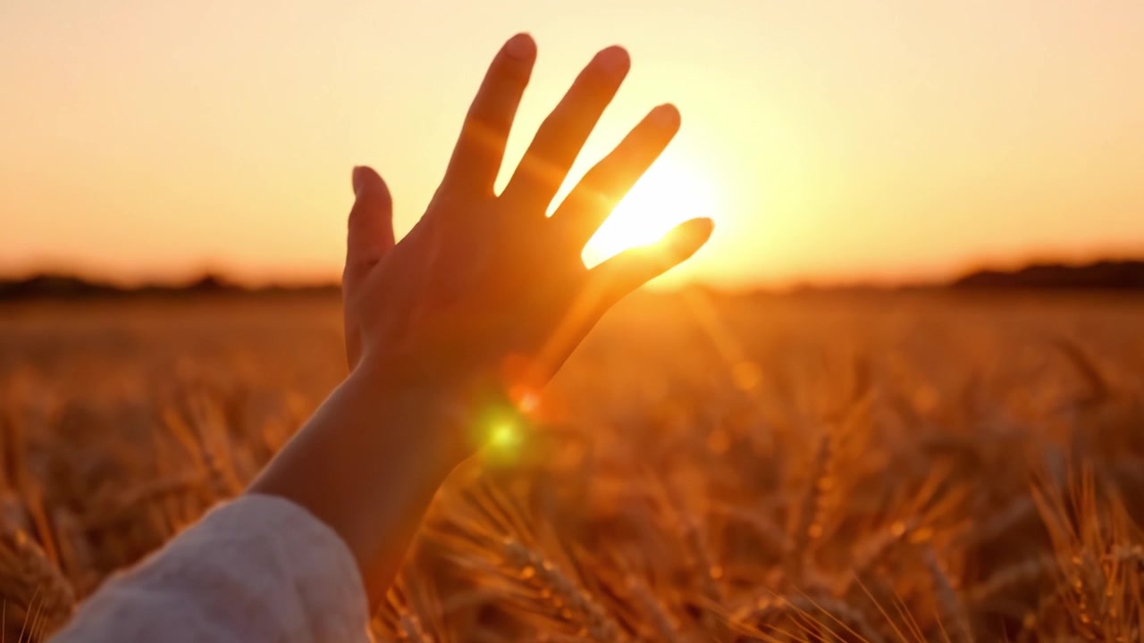 Ein gelassener Moment der Naturverbundenheit: Eine Hand streckt sich dem Sonnenuntergang über einem goldenen Weizenfeld entgegen, symbolisierend Frieden und Ruhe in ländlichen Landschaften.
